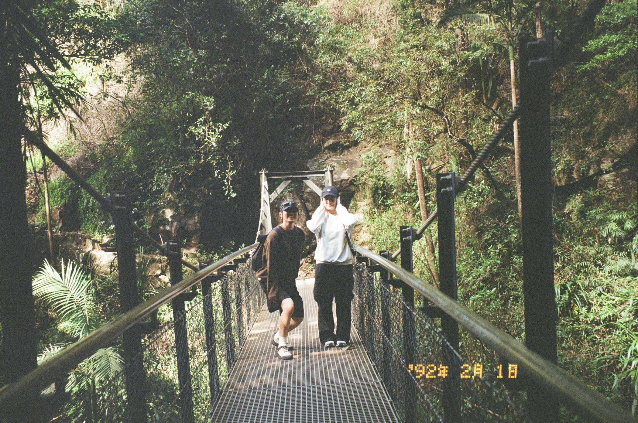 林间吊桥